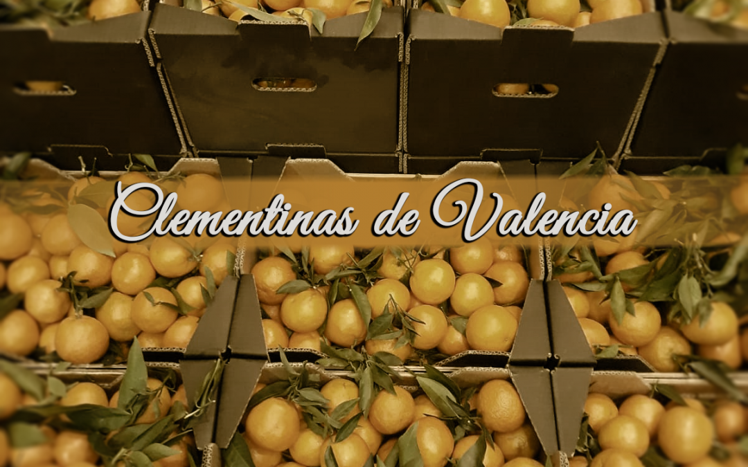Clementina de Valencia, dulce y sin semilla